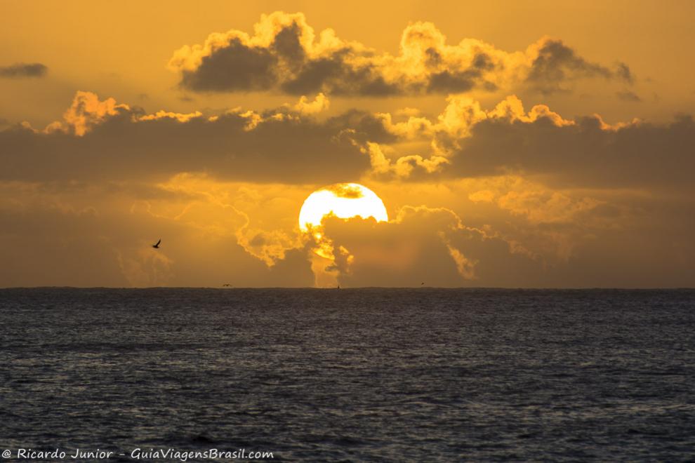 Imagem de um entardecer com céu alaranjado e passaros sobrevoando o mar.